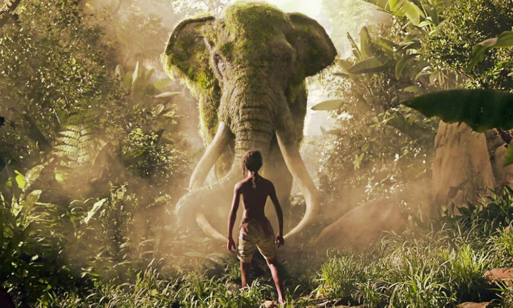 Mowgli Il figlio della giungla
