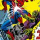 Marvel Masterworks: Spider-Man 14