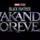 Black Panther sequel- Black Panther Wakanda Forever