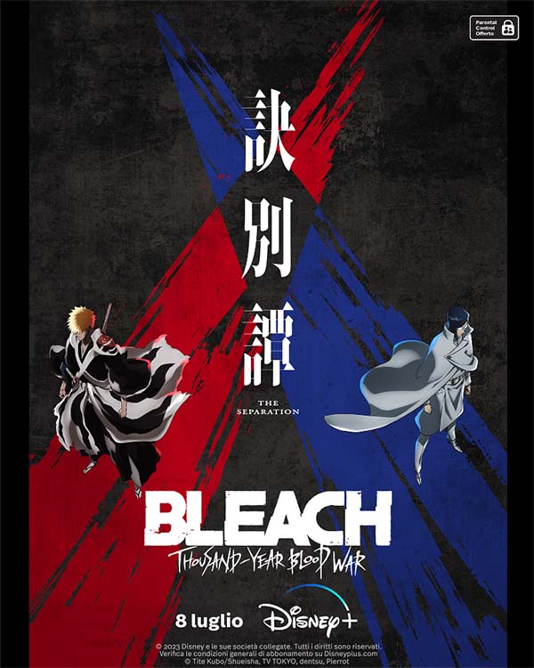 bleach poster